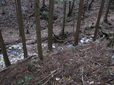 20131124hike (234)